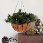 Cm20206 Unbranded Hanging Basket Christmas Decoration Green Pine Pinecones Lights Battery
