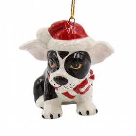 Cosmos Gifts 752593565601 56560 Christmas Ornament-boston Terrier Black