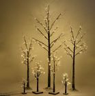 Cwcm20167cm20173 Home Improvements Rustic Country Pre Lit Frosted Birch Tree Christmas