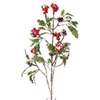 De260252 Direct Export Snow Berry Cone Spray 886505602525