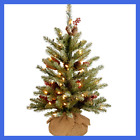 Duf-300-20-b1 National Tree Company Ft Dunhill Fir Cones Red 729083459573