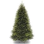 Duh-100 National Tree Company Dunhill 729083060106