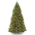 Duh-100lo-s National Tree Christmas Trees 729083060991
