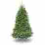 Duh-75 National Tree 7 1 2 Dunhill Fir Hinged Sale 0729083060755