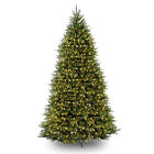 Duh3-100lo-s National Tree Li Bulb 729083973109