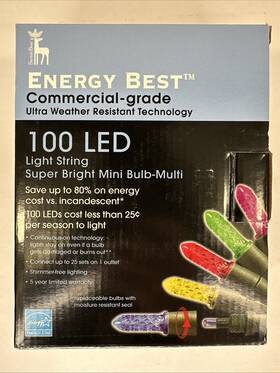 Energy Best 030075565906 100 Led Mini Super Bright Light String Color Bulbs Christmas New