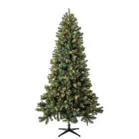 Evergreen Classics 7 5 Benton Pine
