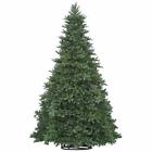 G125918cw Vickerman 18 Ft X 749757313864