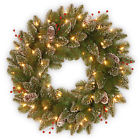 Glm1-300-24w-b1 National Tree 24 Glittery 729083133626