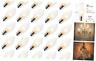 Pc-69836 H Brightown Incandescent Bulb Christmas Replacement Light Pack Clear