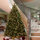 Natc034 Hn National Tree Company Carolina Pine