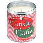 Hol-026 Aunt New Seasonal Candy Cane Sticks Hand Poured 842988115778