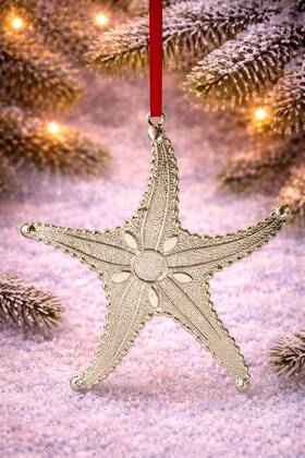Holiday Lane 766390214679 Seaside Starfish Ornament Coastal Beach Christmas Tree Decor Silver