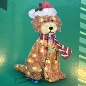 Holiday Living 764878692094 27 Inch Christmas Doodle With Lights Dog Free Shipping