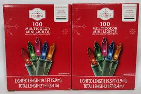 Holiday Time 764878662875 100-count Multi Led Incandescent Mini Christmas String Lights 21