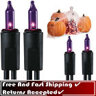 L1100009pu12 Holiday Living Purple Mini Halloween Decoration String Lights 718349373401