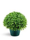 Ljb4-13-1 National Tree 13in Globe 729083913730