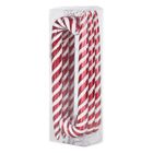 M152703 Vickerman Candy Cane Ornament Set Of Red 734205377246