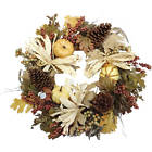 M5ax9bw2ir Harvest Cream Pumpkin Mixed 701091388823
