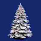 Mc223 Vickerman Flocked Holiday Tree With 300 Multicolored Lights 0783512180223