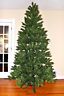 Mountain King By Hudson Valley Noma Company Whitney Fir Christmas