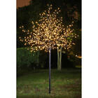 Msq6008.5ft-ww Lightshare 600l 8.5ft Ball 816192015537