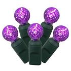 N-a Vickerman Led Light Set Purple Home Kitchen 798837637949