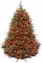 Naffmh1-75rlos1 National Tree Company Natural Fraser Fir Hinged With 1000 Multi