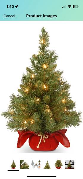 National Tree 744110482836 Company Pre-lit Artificial Mini Christmas 2f Majestic Fur
