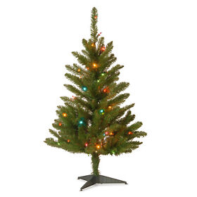Kw7-313-30-u-a National Tree Company 3 Foot Artificial Kingswood Fir Christmas Open Box