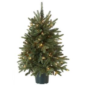 National Tree Company 729083828522 Artificial Christmas For Entrances Includes White Lights And Pot Eve
