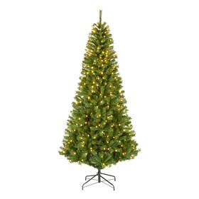 Awch22-362l-75 National Tree Company 7.5 Ft Prelit Artificial Christmas Slim Winchester Pine 350 Led Lights