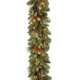 Cap3-306-9a-1 National Tree Company 9 Ft Pre-lit Carolina Pine Artificial Christmas Garland