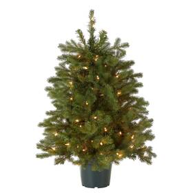 Peha3-306-30 National Tree Company Ftfeel Realft Artificial Christmas For Entrances Includes White L