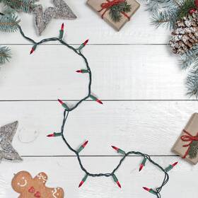 Northlight 191296023320 Set Of 50 Red Mini Christmas Lights 2.5 Inch Spacing - Green Wire