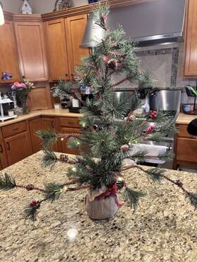 34865513 Northlight 23.5 Inch Winter Berry Pine Tree Battery Led Cones Jute Base Christmas