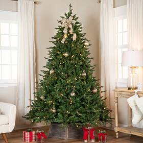 35769338 Northlight Real Touch Pre-lit Cumberland Pine Artificial Christmas Tree - 9ft Warm White