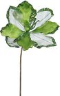 Of161213 Vickerman 20 Lime Amaryllis 734205404225