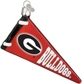 62306 Old World Christmas Glass Blown Georgia Pennant Ornament