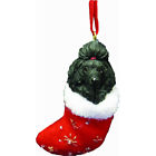 Orn221-29 Es Imports Poodle Black 831310138226