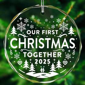 Fh001 Ornaments By Design Glass Christmas Ornament Modern Standard Together 2025