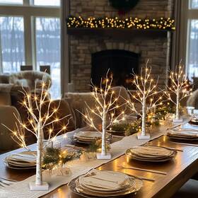 Vg22a001 Pabipabi Lighted Birch Tree With Led Lights Christmas Decorations Small Artificial Bo
