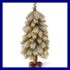 Peby1-319-24b1 National Tree Company Feel Real Bayberry Spruce Warm 729083714931