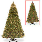 Peby4-160ld-sm National Tree Li Bulb Type