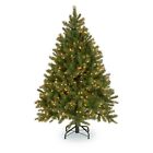 Pedd1-312-120 National Tree Company Feel-real
