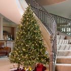 Pedd1-325-75 National Tree Company Downswept 729083964275