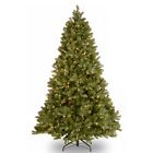 Pedd1-d12-75 National Tree Company Feel-real 729083084386