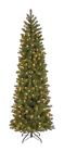 Pedd4-392d-75m Four Seasons Tree 7.5 729083045288