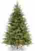 Pefg3-308-75 National Tree Company Feel-real Frasier Grande Hinged With 1000 641752951686