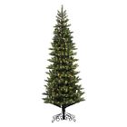 Pefg3-500-75 National Tree Li Color 729083764783